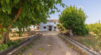 Spain Get your residency! country house with large plot #006675