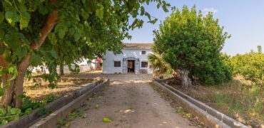 Spain Get your residency! country house with large plot #006675