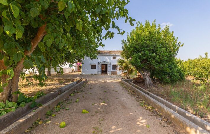 Spain Get your residency! country house with large plot #006675