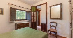 Spain Get your residency! country house with large plot #006675