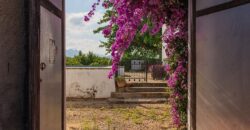 Spain Get your residency! country house with large plot #006675