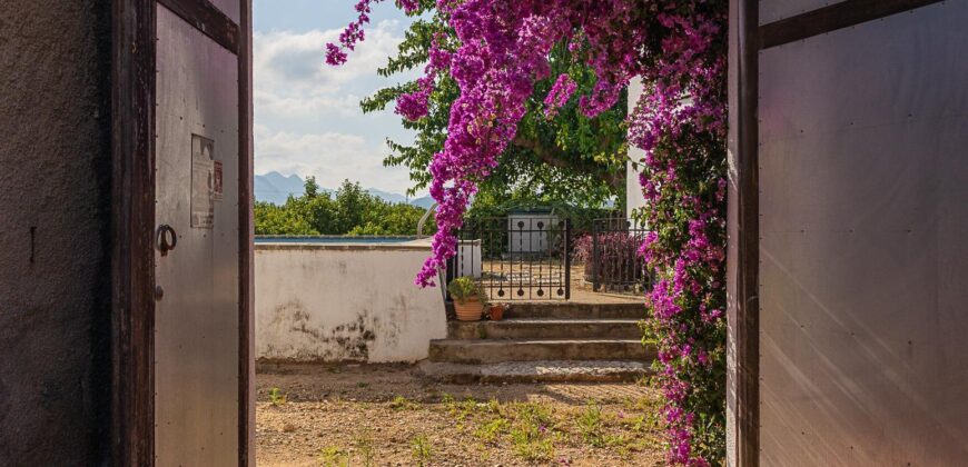 Spain Get your residency! country house with large plot #006675