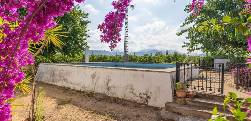 Spain Get your residency! country house with large plot #006675