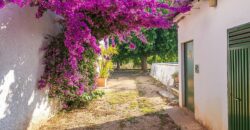 Spain Get your residency! country house with large plot #006675