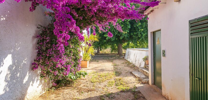 Spain Get your residency! country house with large plot #006675