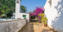 Spain Get your residency! country house with large plot #006675