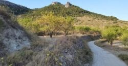 Spain Get your residency! house great location, need renovation 007005