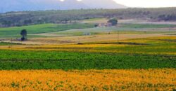 Spain Get your residency! house great location, need renovation 007005