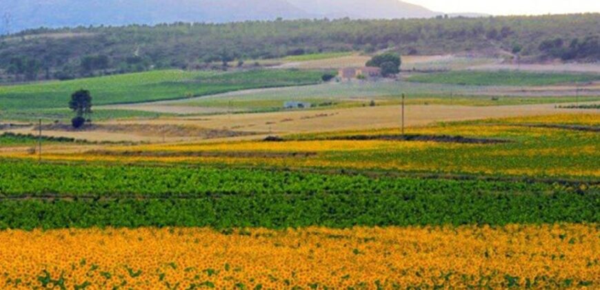 Spain Get your residency! house great location, need renovation 007005