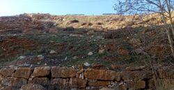 hammana land 7,318 sqm, net 4,961 sqm for sale good location #6672