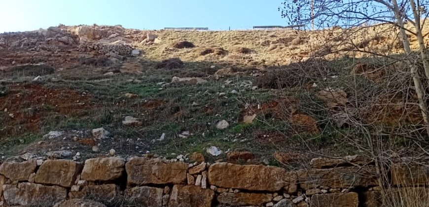 hammana land 7,318 sqm, net 4,961 sqm for sale good location #6672