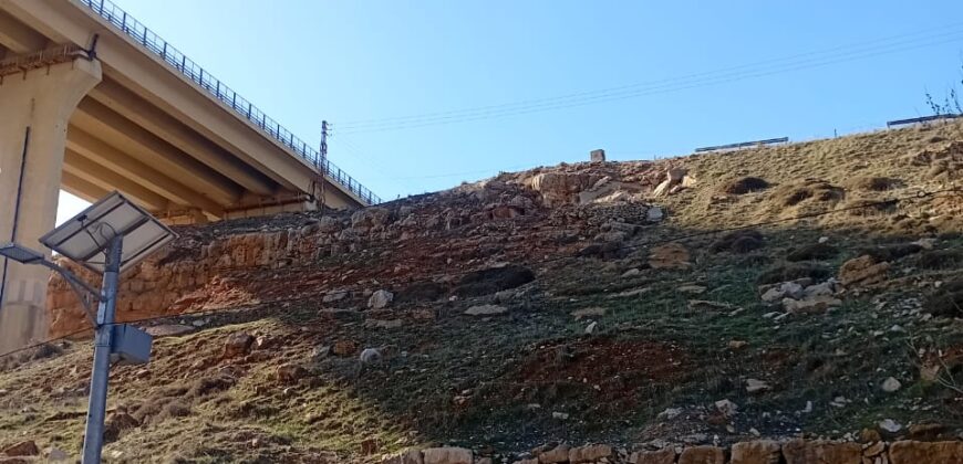 hammana land 7,318 sqm, net 4,961 sqm for sale good location #6672