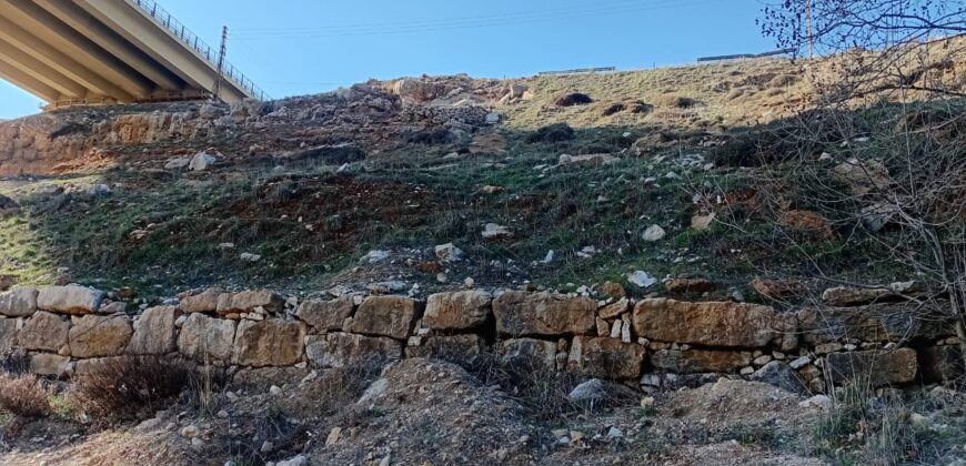hammana land 7,318 sqm, net 4,961 sqm for sale good location #6672