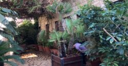 Seafront villa with commercial shops in the heart of Jounieh #6681