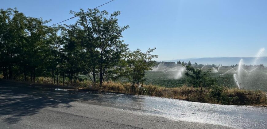kabelias land 14,645 sqm for sale prime location on the main road #6685