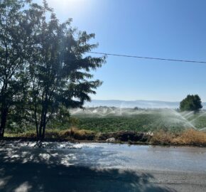 kabelias land 14,645 sqm for sale prime location on the main road #6685