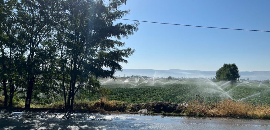 kabelias land 14,645 sqm for sale prime location on the main road #6685