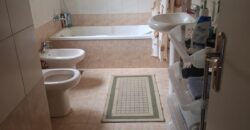 dik el mehdi fully furnished apartment ground floor 160 sqm for rent #6688