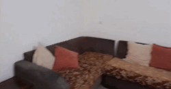 Ammiq western bekaa fully furnished apartment for rent #6687