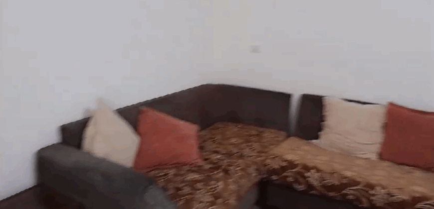 Ammiq western bekaa fully furnished apartment for rent #6687