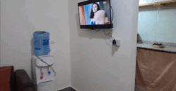 Ammiq western bekaa fully furnished apartment for rent #6687
