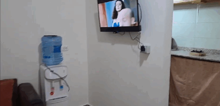 Ammiq western bekaa fully furnished apartment for rent #6687