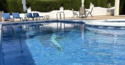 Spain Get your residency! villa with exceptional Plot and large pool SVM738695