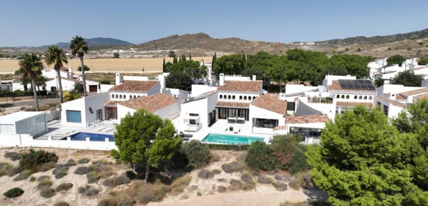 Spain Get your residency! luxurious villa fully renovated with pool SVM740105