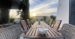 Spain Get your residency! luxury villa on a large plot with garden & pool SVM741898