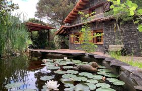 Spain Get your residency! house with pool & garden in the heart of nature PR-00367