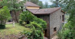 Spain Get your residency! house with pool & garden in the heart of nature PR-00367