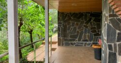 Spain Get your residency! house with pool & garden in the heart of nature PR-00367