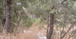 klayaat land 576 sqm for sale #6690