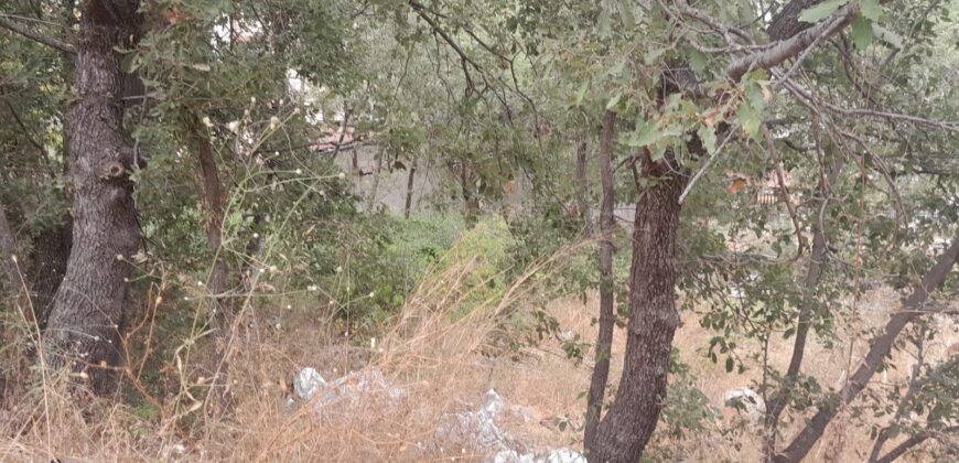 klayaat land 576 sqm for sale #6690