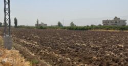 maalaka land 1309 sqm for sale #6700