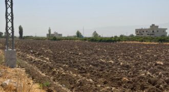 maalaka land 1309 sqm for sale #6700