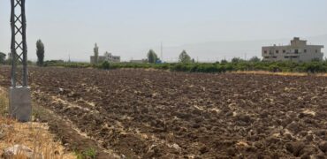 maalaka land 1309 sqm for sale #6700