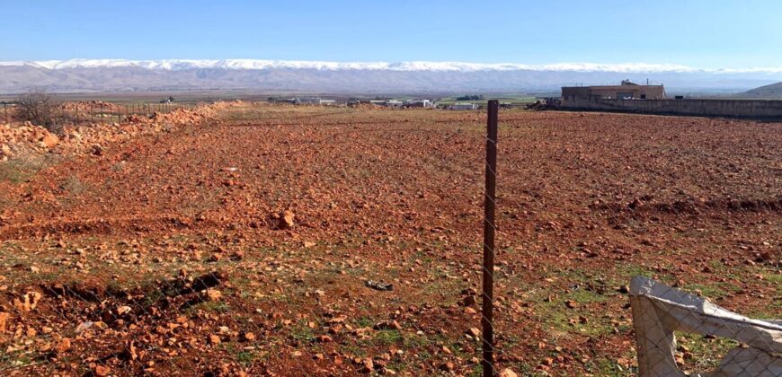 deir el ahmar baalbek, fenced land 12,598 sqm for sale #6717