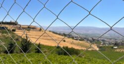 maalaka aradi land 5996 sqm for sale #6725