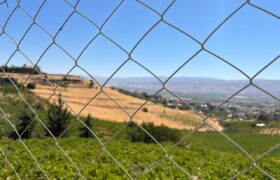maalaka aradi land 5996 sqm for sale #6725