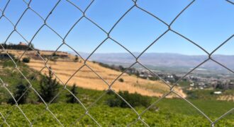 maalaka aradi land 5996 sqm for sale #6725