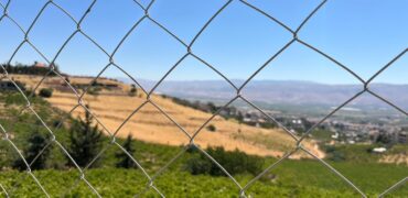 maalaka aradi land 5996 sqm for sale #6725