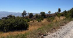 hazzerta land 881 sqm for sale #6726
