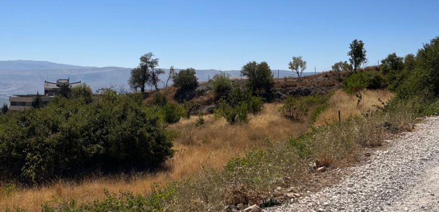 hazzerta land 881 sqm for sale #6726