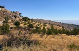 hazzerta land 881 sqm for sale #6726