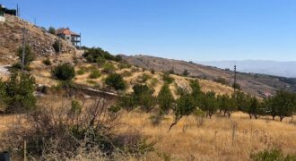 hazzerta land 881 sqm for sale #6726