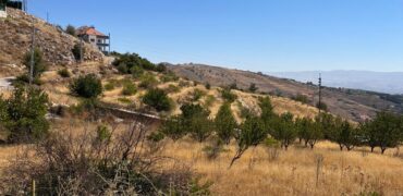 hazzerta land 881 sqm for sale #6726