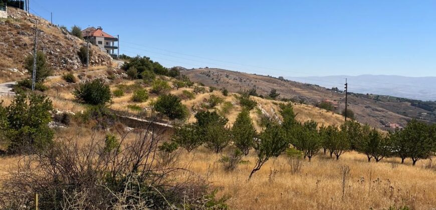 hazzerta land 881 sqm for sale #6726