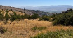 hazzerta land 881 sqm for sale #6726
