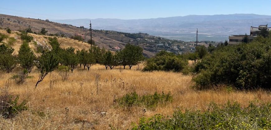 hazzerta land 881 sqm for sale #6726
